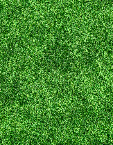 Trawnik z rolki – dlaczego warto w niego zainwestować do klubu piłkarskiego?